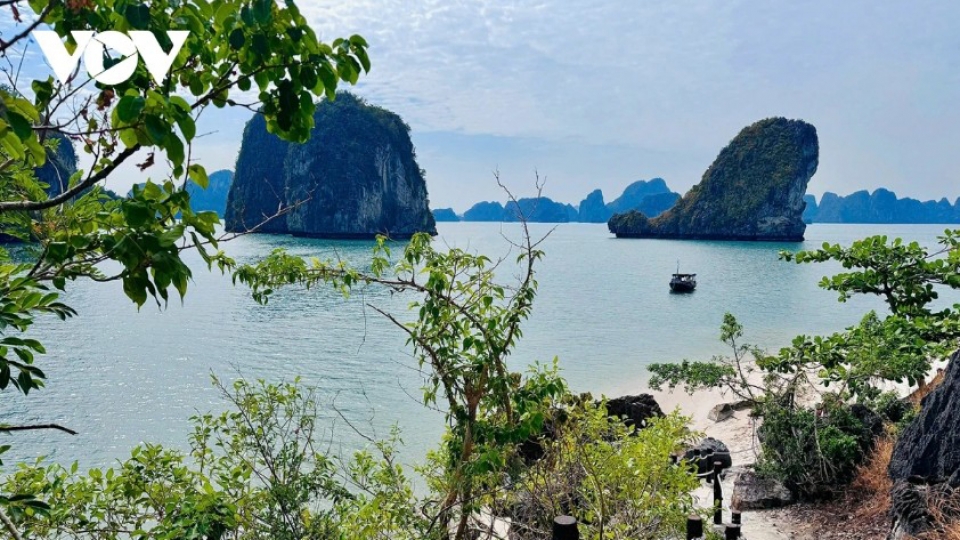 Vietnam’s beauty offers unforgettable experiences for international visitors